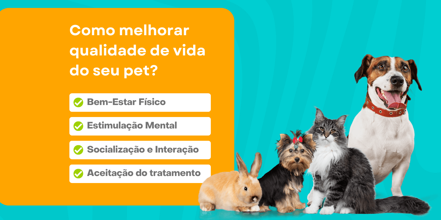 Foto Posto - Como melhorar a qualidade de vida do seu pet