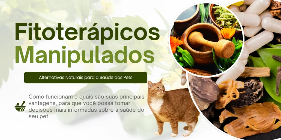 fitoterapicos-manipulados-estaque