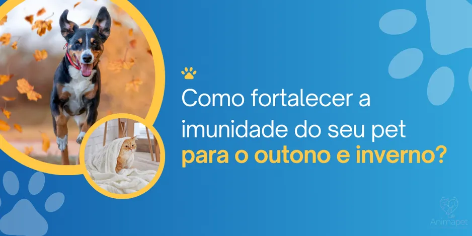 imunidade-pet-destaque 2