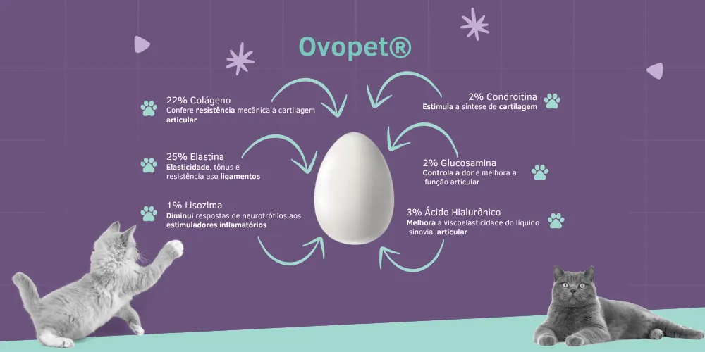 Ovopet - imagem 1