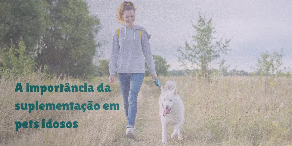 omega e ucii suplementacao pet idoso foto 1