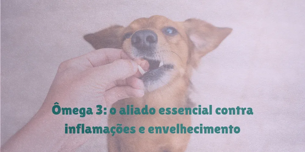 omega e ucii suplementacao pet idoso foto 2