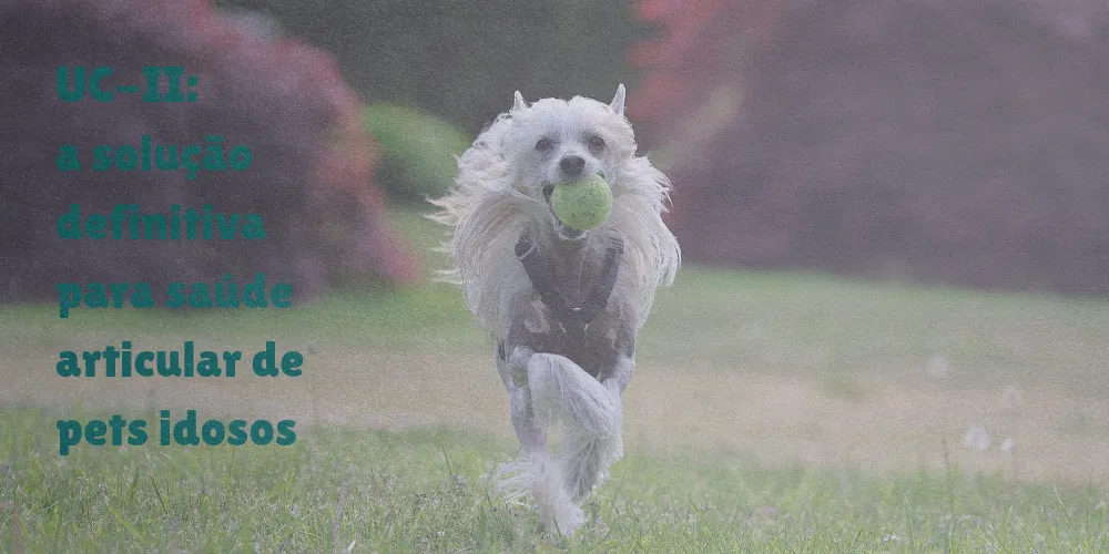 omega e ucii suplementacao pet idoso foto 3