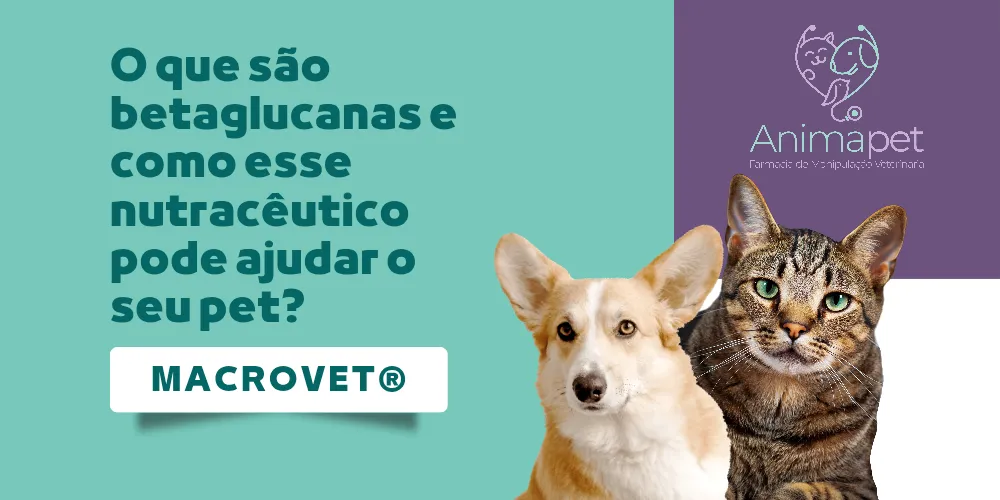 Macrovet: o que são betaglucanas e como esse nutracêutico pode ajudar o seu pet