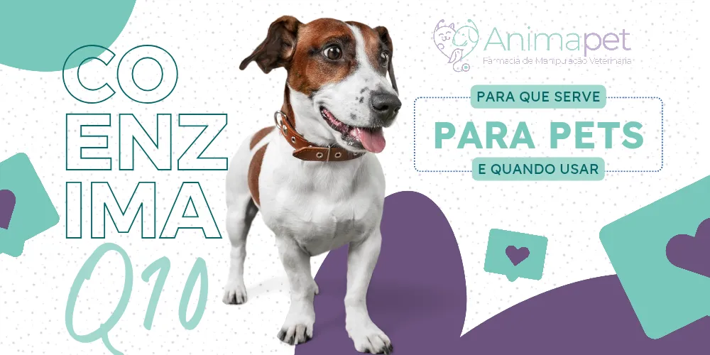 Coenzima q10 para pets