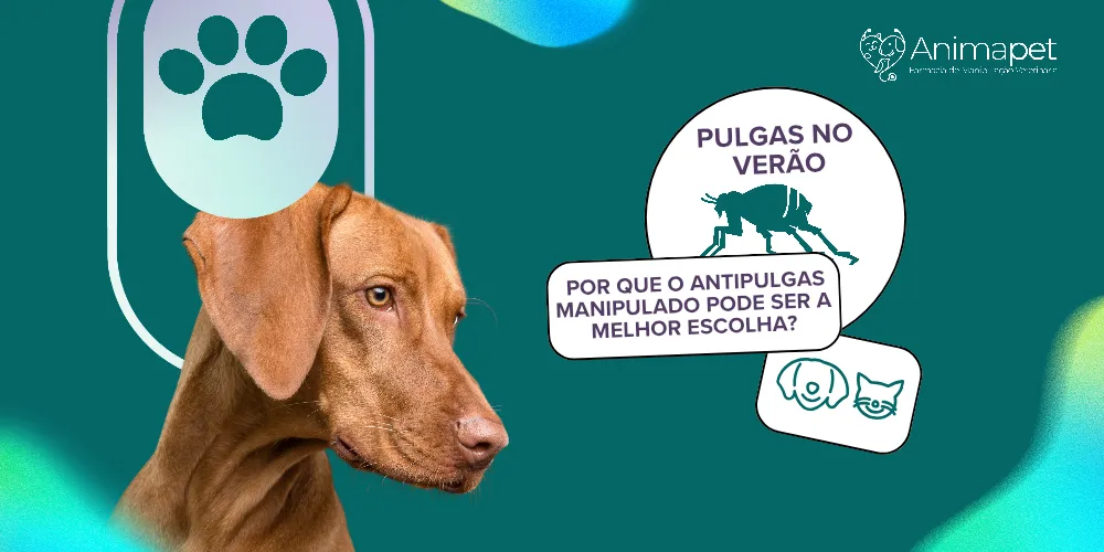 Pulgas no verão: por que o antipulgas manipulado pode ser a melhor escolha