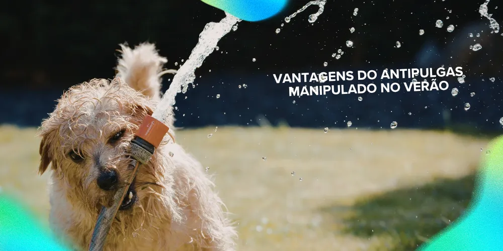Vantagens do antipulgas manipulado no verão