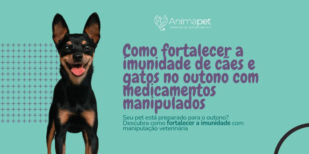 Como fortalecer a imunidade de cães e gatos no outono com medicamentos manipulados