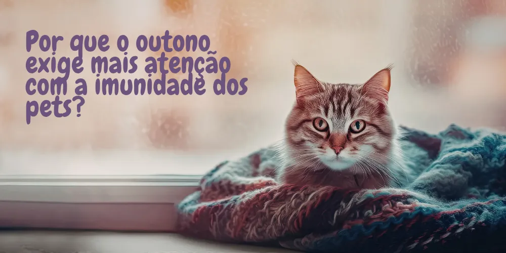 Por que o outono exige mais atenção com a imunidade dos pets