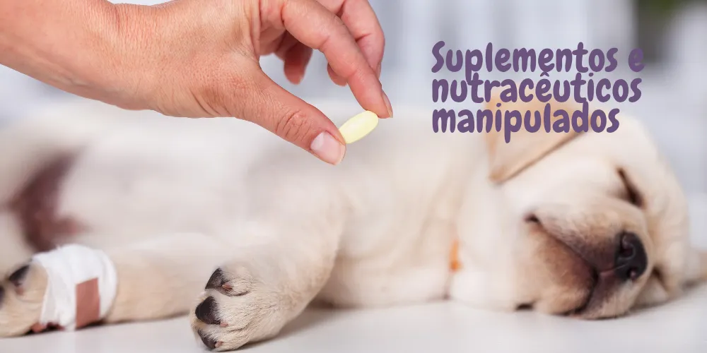 Suplementos e nutracêuticos manipulados