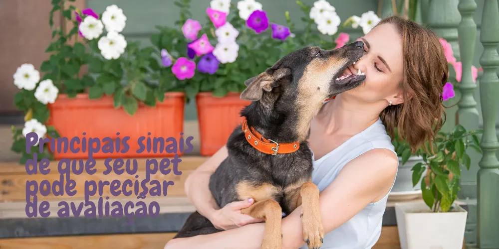 Principais sinais de que seu pet pode precisar de avaliação