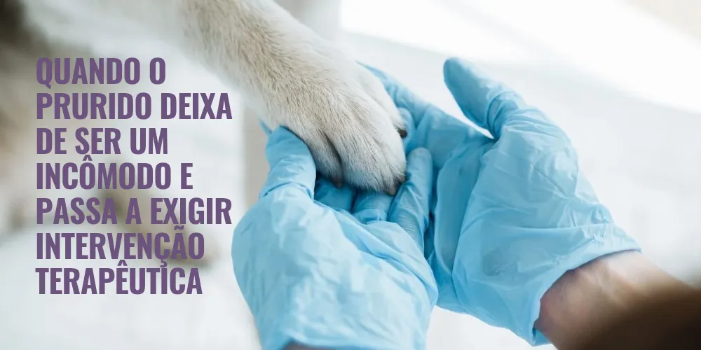 Quando o prurido deixa de ser um incômodo e passa a exigir intervenção terapêutica