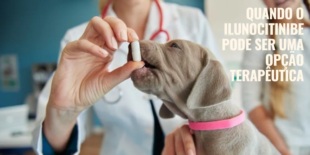 Quando o ilunocitinibe pode ser uma opção terapêutica