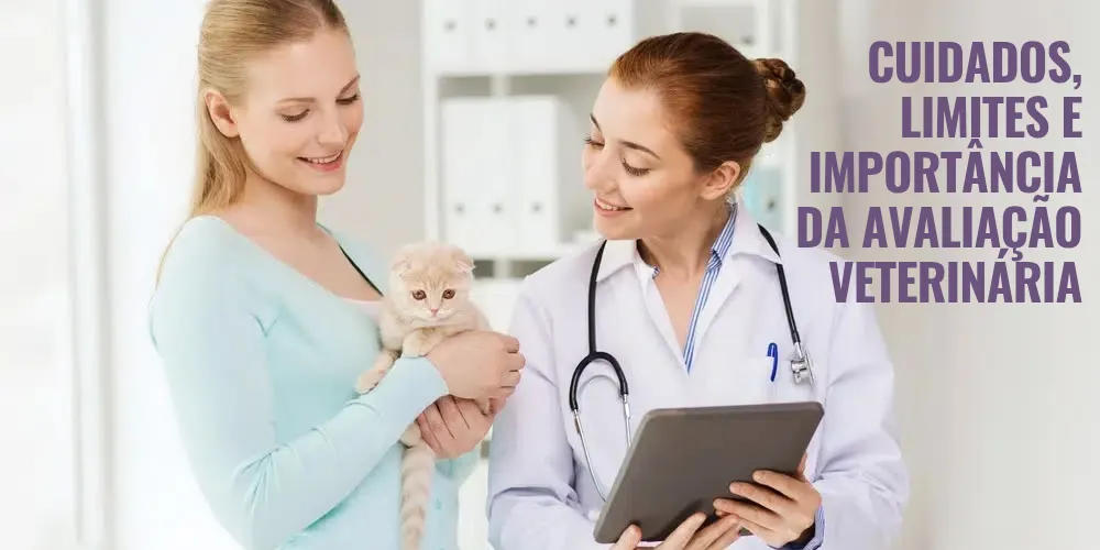 Cuidados, limites e importância da avaliação veterinária