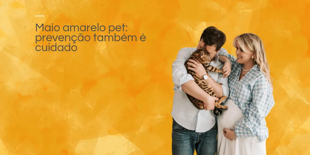 Maio amarelo pet: prevenção também é cuidado