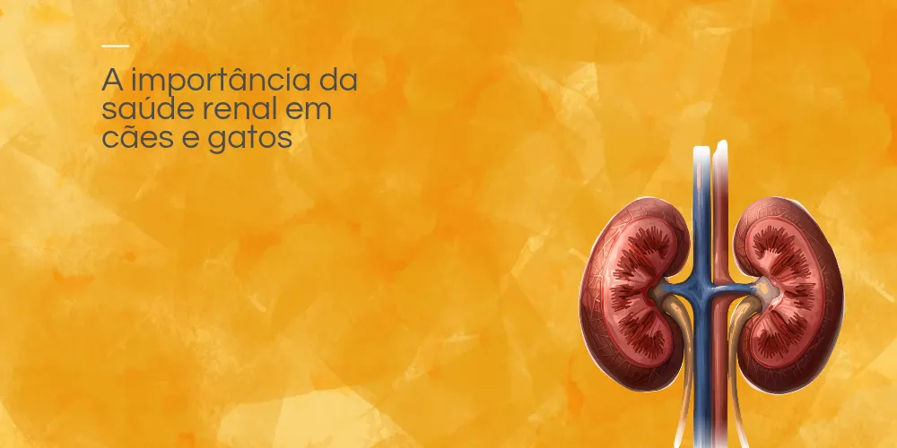 A importância da saúde renal em cães e gatos