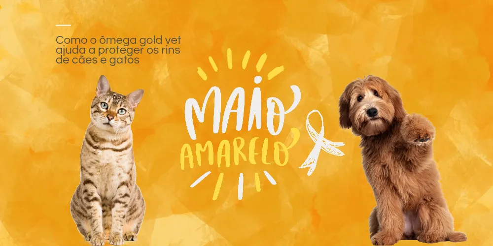 Maio amarelo pet: como o ômega gold vet ajuda a proteger os rins de cães e gatos