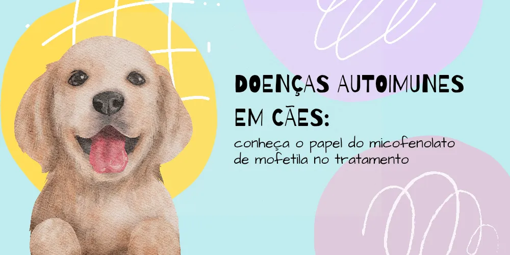Doenças autoimunes em cães: conheça o papel do micofenolato de mofetila no tratamento