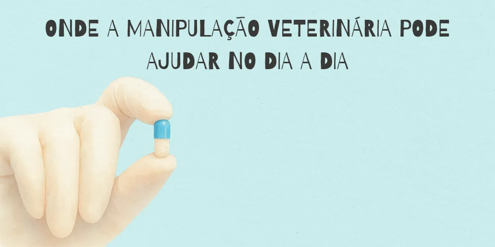 Onde a manipulação veterinária pode ajudar no dia a dia