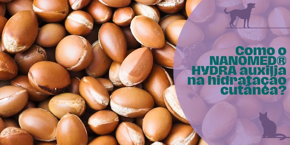 Como o NANOMED HYDRA auxilia na hidratação cutânea