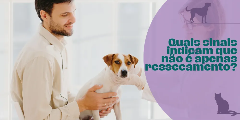 Quais sinais indicam que não é apenas ressecamento