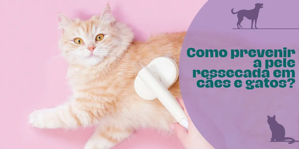 Como prevenir a pele ressecada em cães e gatos