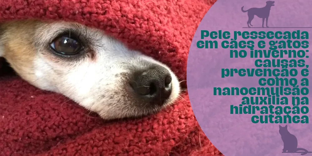 Pele ressecada em cães e gatos no inverno: causas, prevenção e como a nanoemulsão auxilia na hidratação cutânea