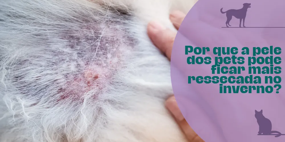 Por que a pele dos pets pode ficar mais ressecada no inverno