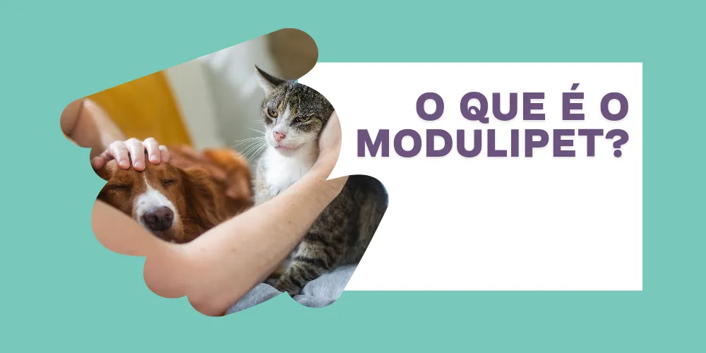 O que é o Modulipet