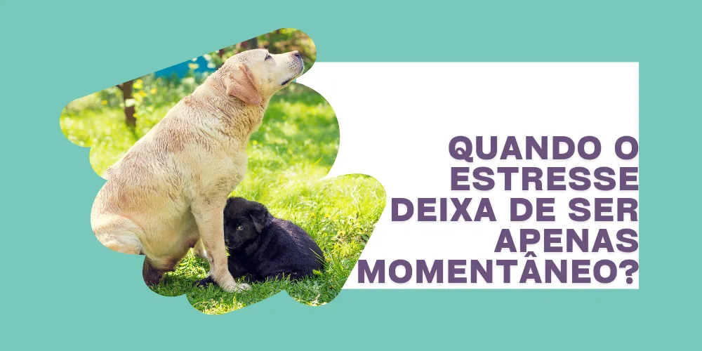Quando o estresse deixa de ser apenas momentâneo