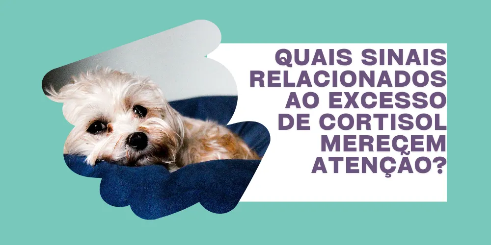 Quais sinais relacionados ao excesso de cortisol merecem atenção