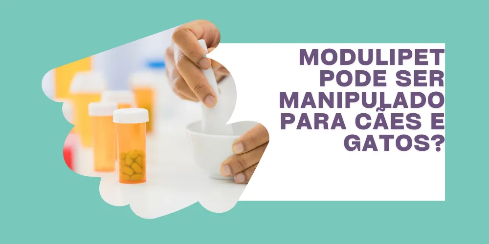 Modulipet pode ser manipulado para cães e gatos