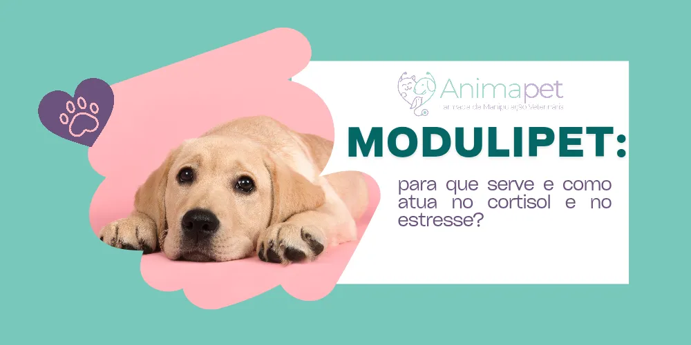 Modulipet: para que serve e como atua no cortisol e no estresse?