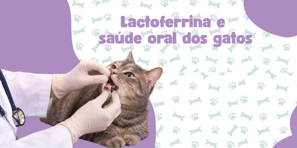 Lactoferrina e saúde oral dos gatos